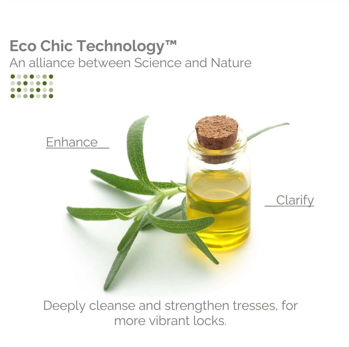GIOVANNI Tea Tree Shampoo bottle side view