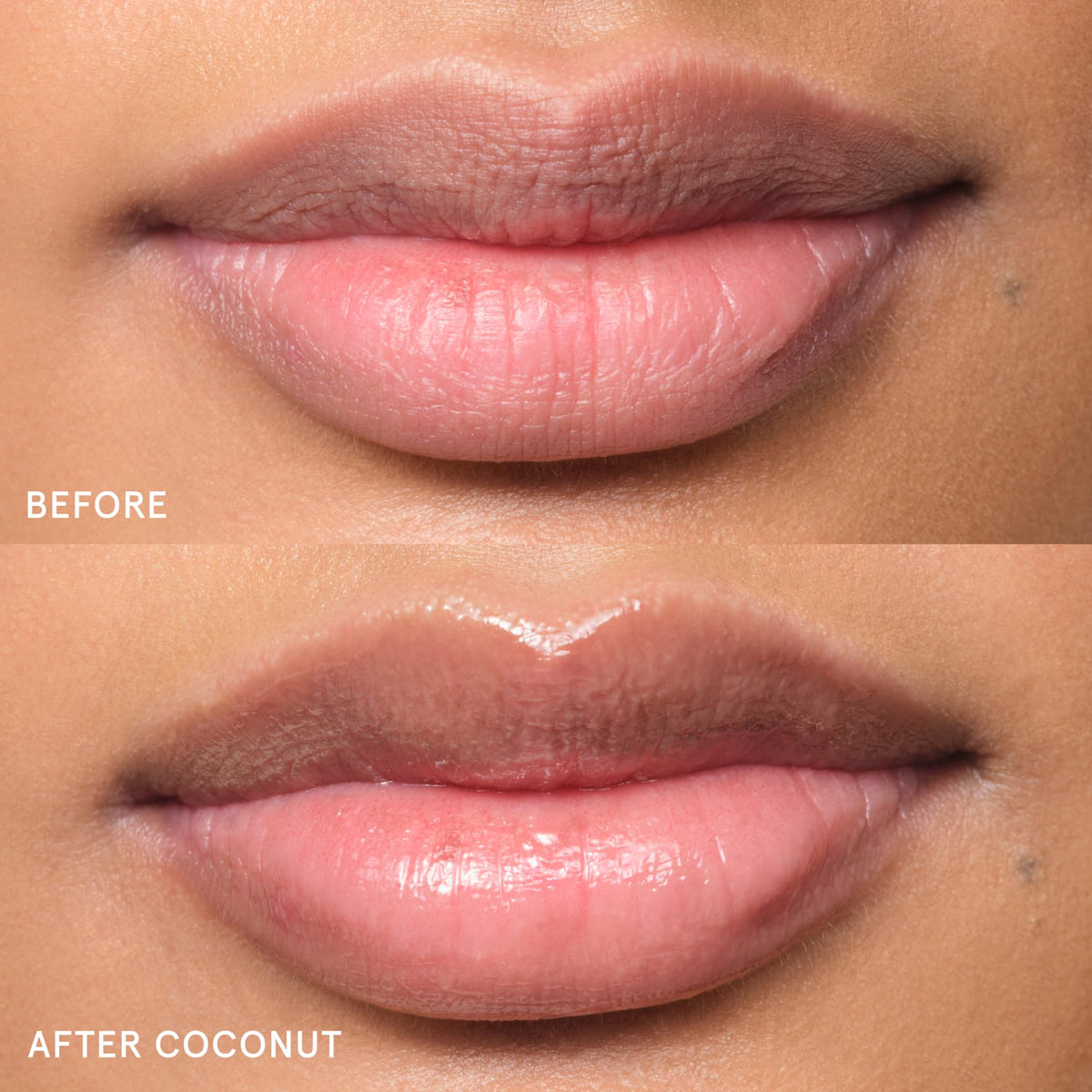 Glossier Balm Dotcom Lip Balm Coconut 18g texture close-up
