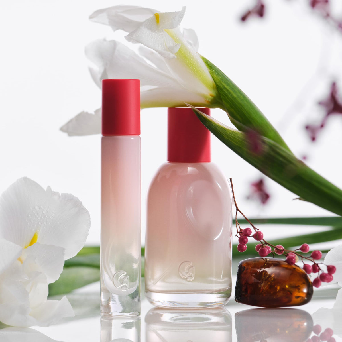 Glossier You Eau de Parfum packaging with dimensions