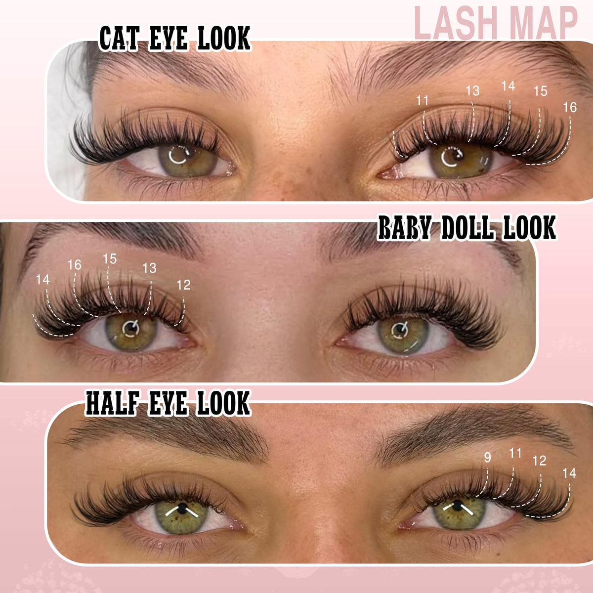 Goddvenus lash clusters arranged by length