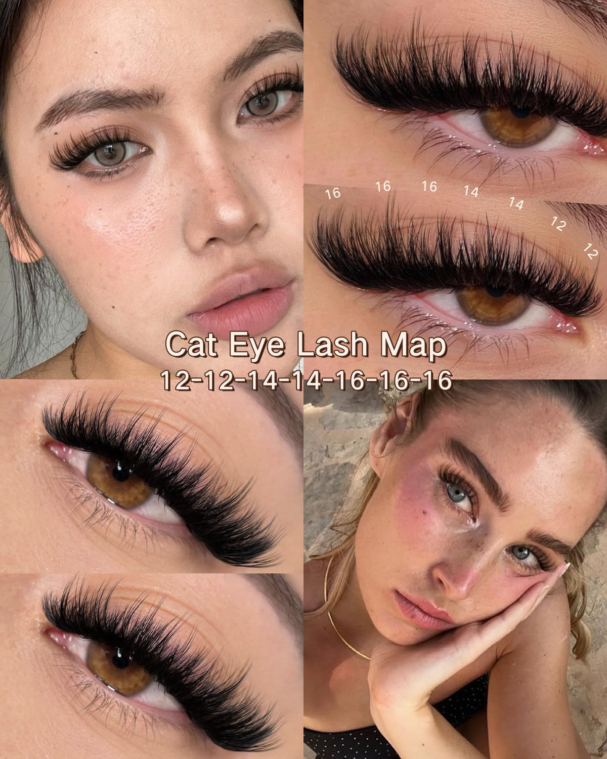 Goddvenus lash clusters displayed in packaging