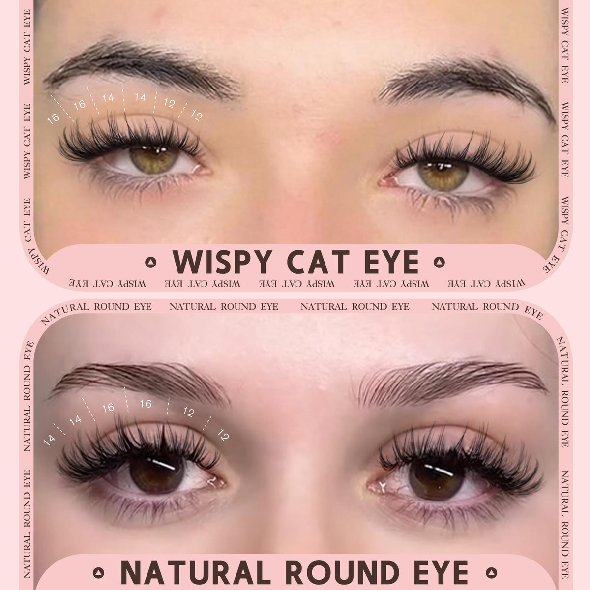 Goddvenus lash clusters in packaging
