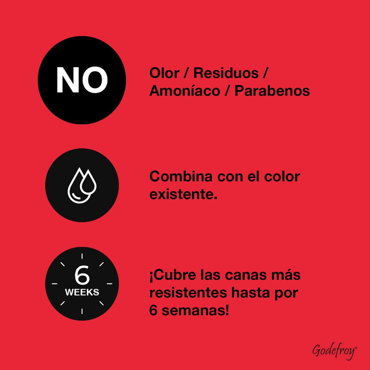 Godefroy Hair Color Tint Kit packaging details