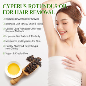 GOGIFTGO Cyperus Rotundus Oil application on skin