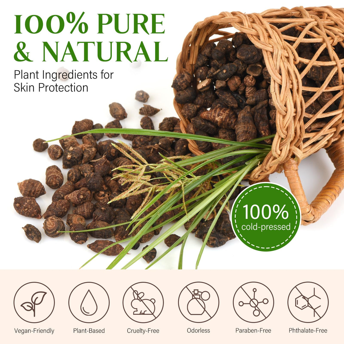 GOGIFTGO Cyperus Rotundus Oil with natural ingredients