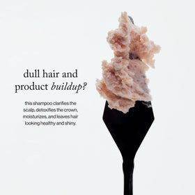 goop Scalp Scrub Shampoo application on wet hair