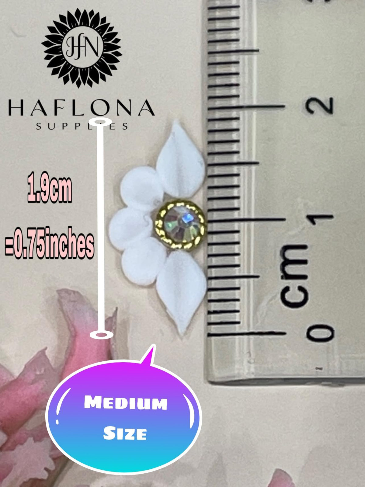 HaFLoNa 32PCs 3D Poinsettia Flower Nail Art Charms in packaging