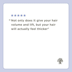 Hairitage Hair Texture Powder 40g with styling tools