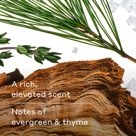 Harry's Men's Body Wash Redwood with fresh thyme and evergreen