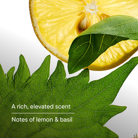 Harry's Men's Body Wash Spring scent notes