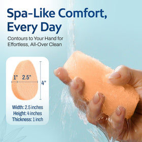 HartFelt Gentle Exfoliating Facial Sponge close-up showing texture