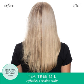 HASK Tea Tree Oil & Rosemary Shampoo and Conditioner set side view