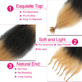 Hbegant Afro Twist Hair 24 Inch 3 Packs pre-fluffed texture