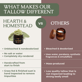 Hearth and Homestead The Old Fashioned Smoked Tallow Balm with ingredients displayed