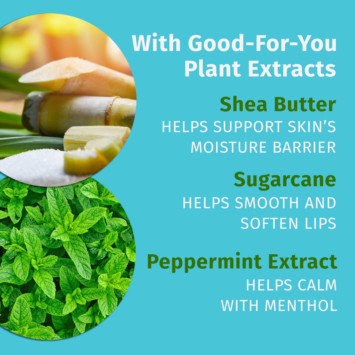 Hempz Crushed Peppermint Sugar Lip Balm 9g with shea butter