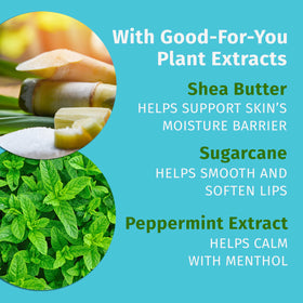Hempz Crushed Peppermint Sugar Lip Balm 9g with shea butter