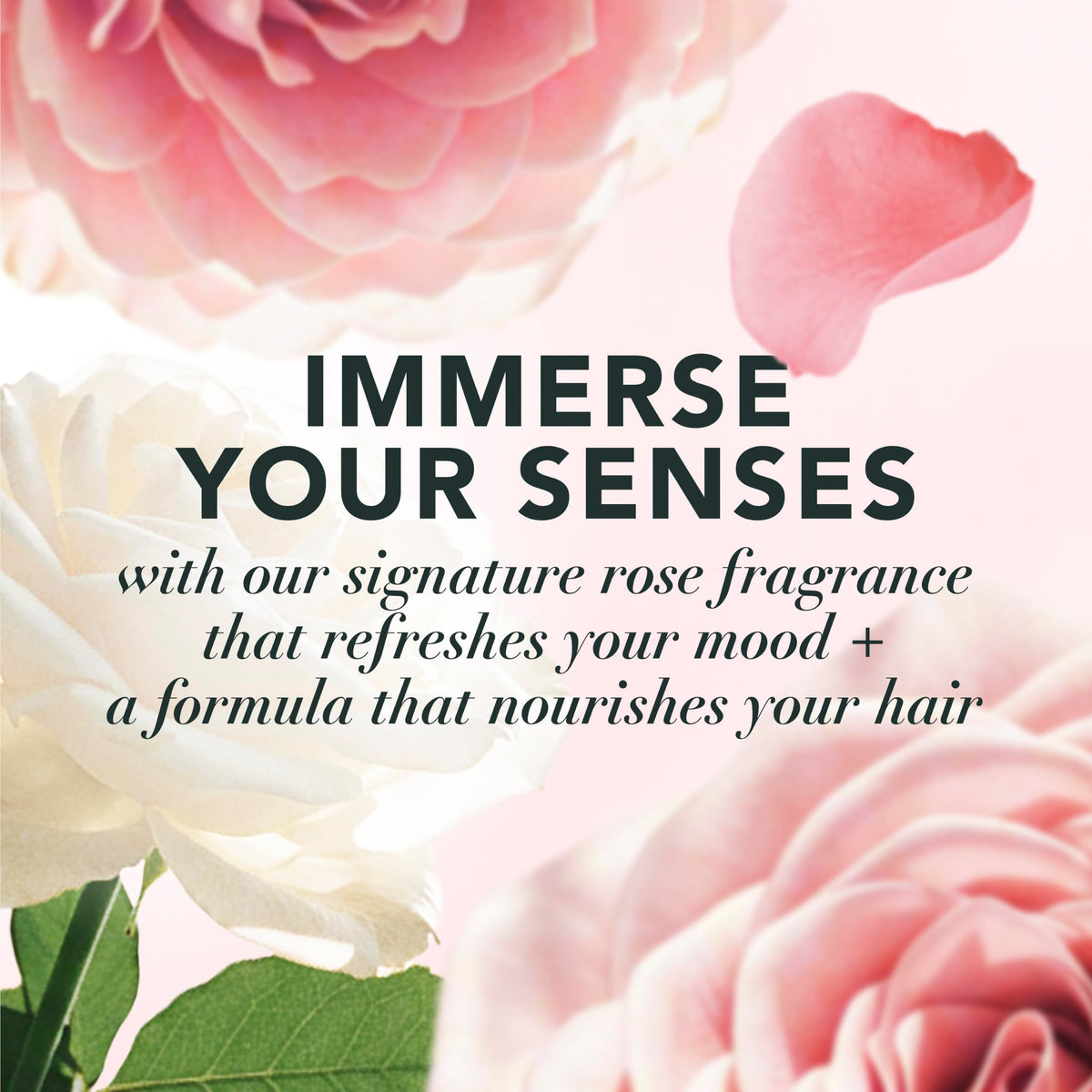 Herbal Essences Conditioner bottle with jojoba extract
