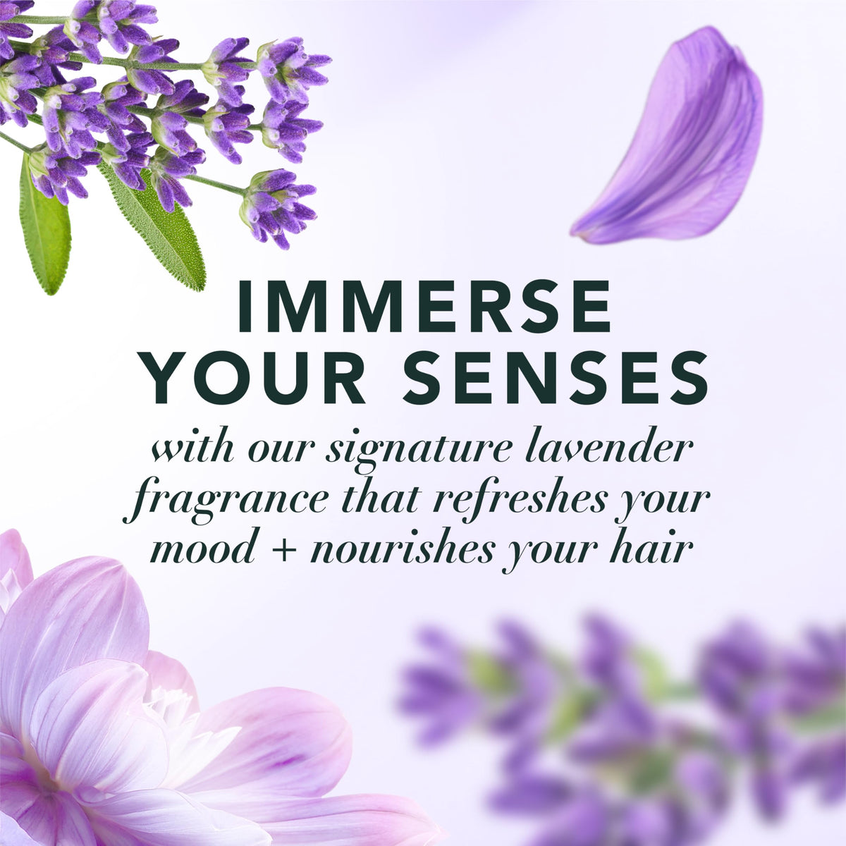 Herbal Essences Lavender Hair Mist on a vanity with flowers