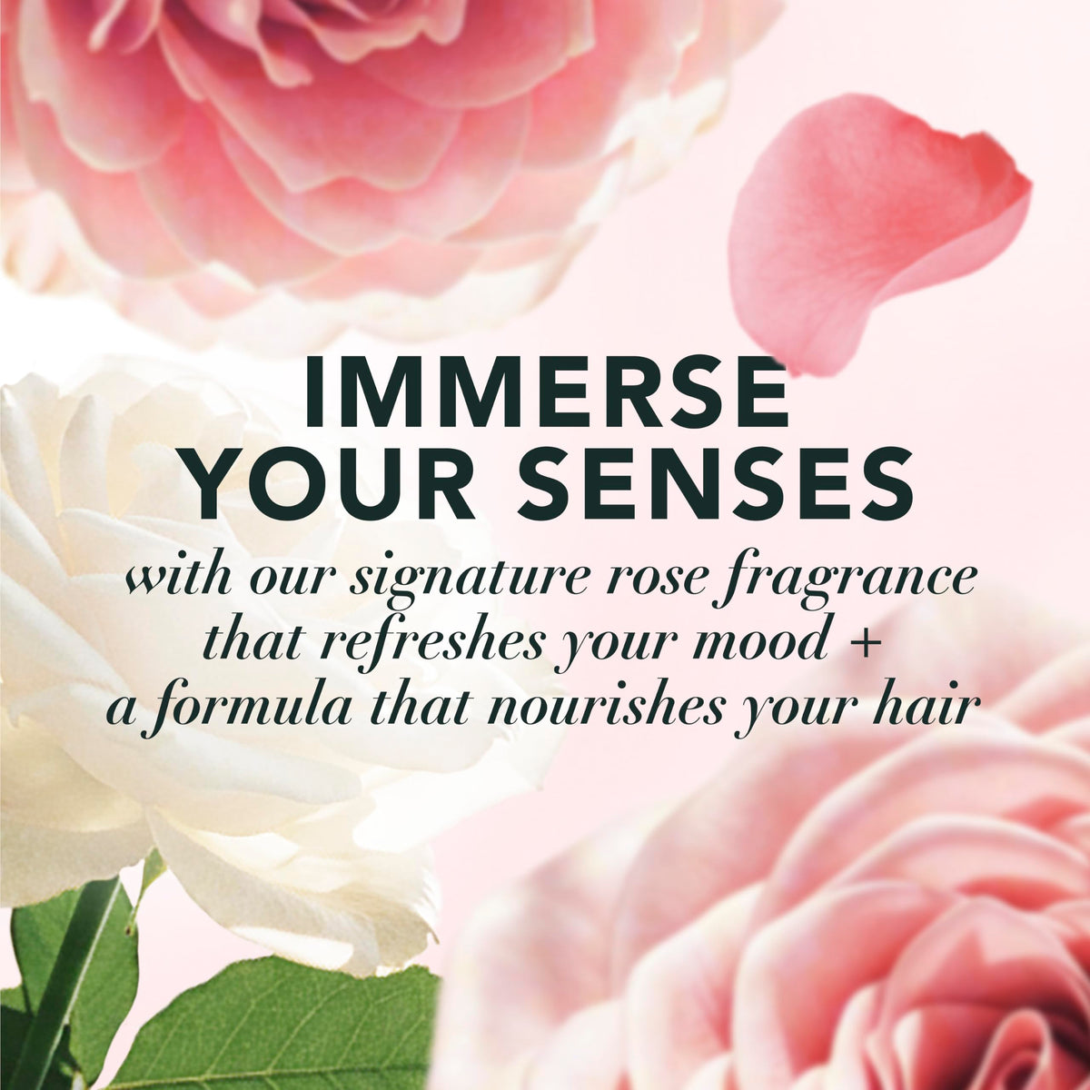 Herbal Essences Rose Hips Smooth Conditioner texture close-up
