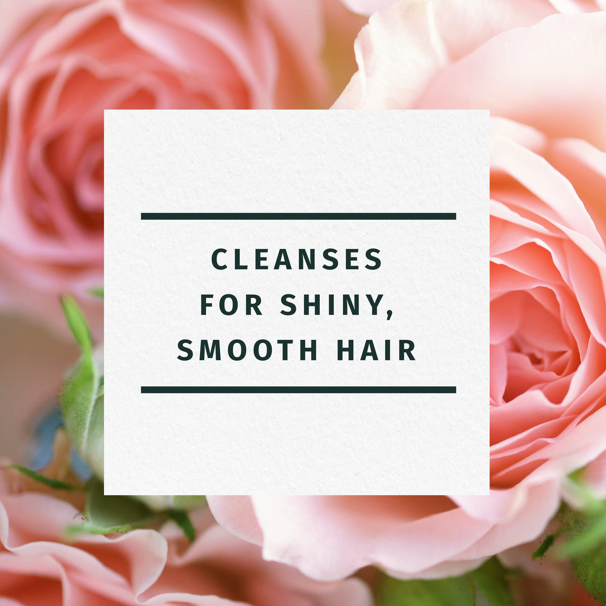 Herbal Essences Rose Hips Smooth Shampoo with jojoba and rose hips