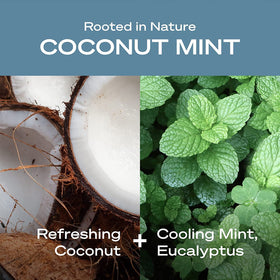 HEY HUMANS Coconut Mint Deodorant ingredients list