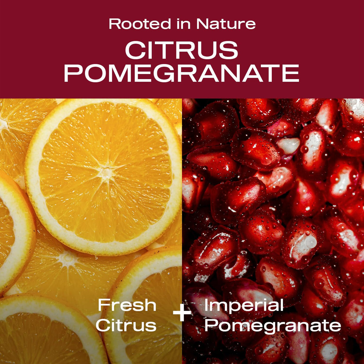 HEY HUMANS Deodorant Citrus Pomegranate close-up of ingredients