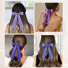 hisial hair clips on a model's hair