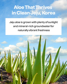 HOLIKA HOLIKA Aloe 99% Soothing Gel ingredients list