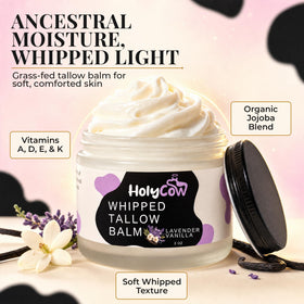 HolyCow Beef Tallow Body Butter 2 Oz Lavender Vanilla whipped texture close-up