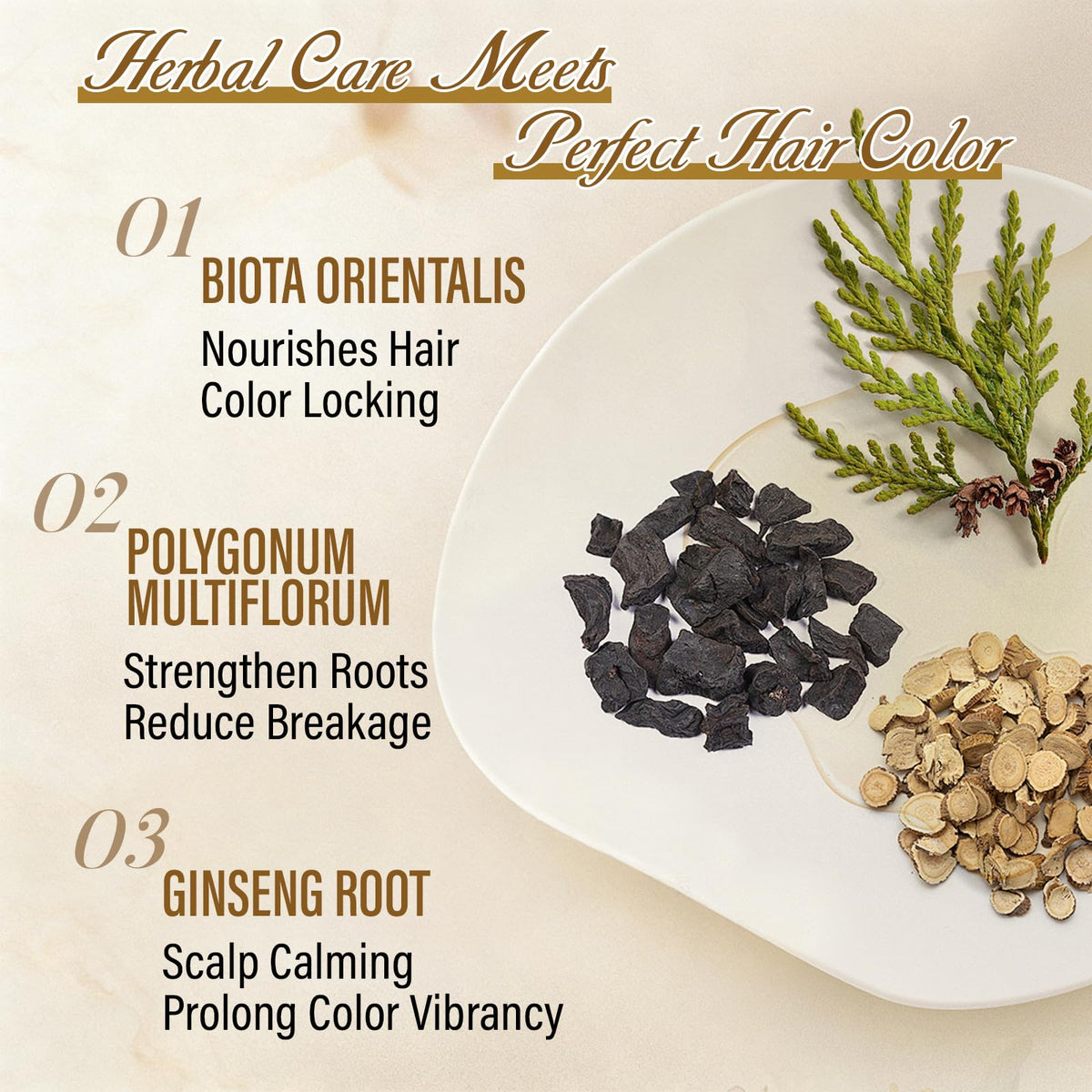 iemokoda Dark Wine Red Hair Dye Shampoo 3-in-1 packaging details