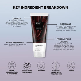 IGK Williams Burgundy Hair Gloss with brush and bowl