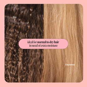 Ingredients list on MONDAY HAIRCARE Moisture Conditioner