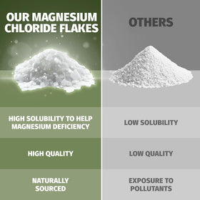 Ingredients of Coach Soak Magnesium Bath Soak