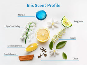 Inis Revitalizing Body Lotion 2.9 fl oz with fresh seaweed