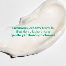 innisfree Green Tea Amino Acid Cleansing Foam with lather on hands