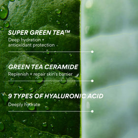 innisfree Green Tea Ceramide Milk Mini with a dropper