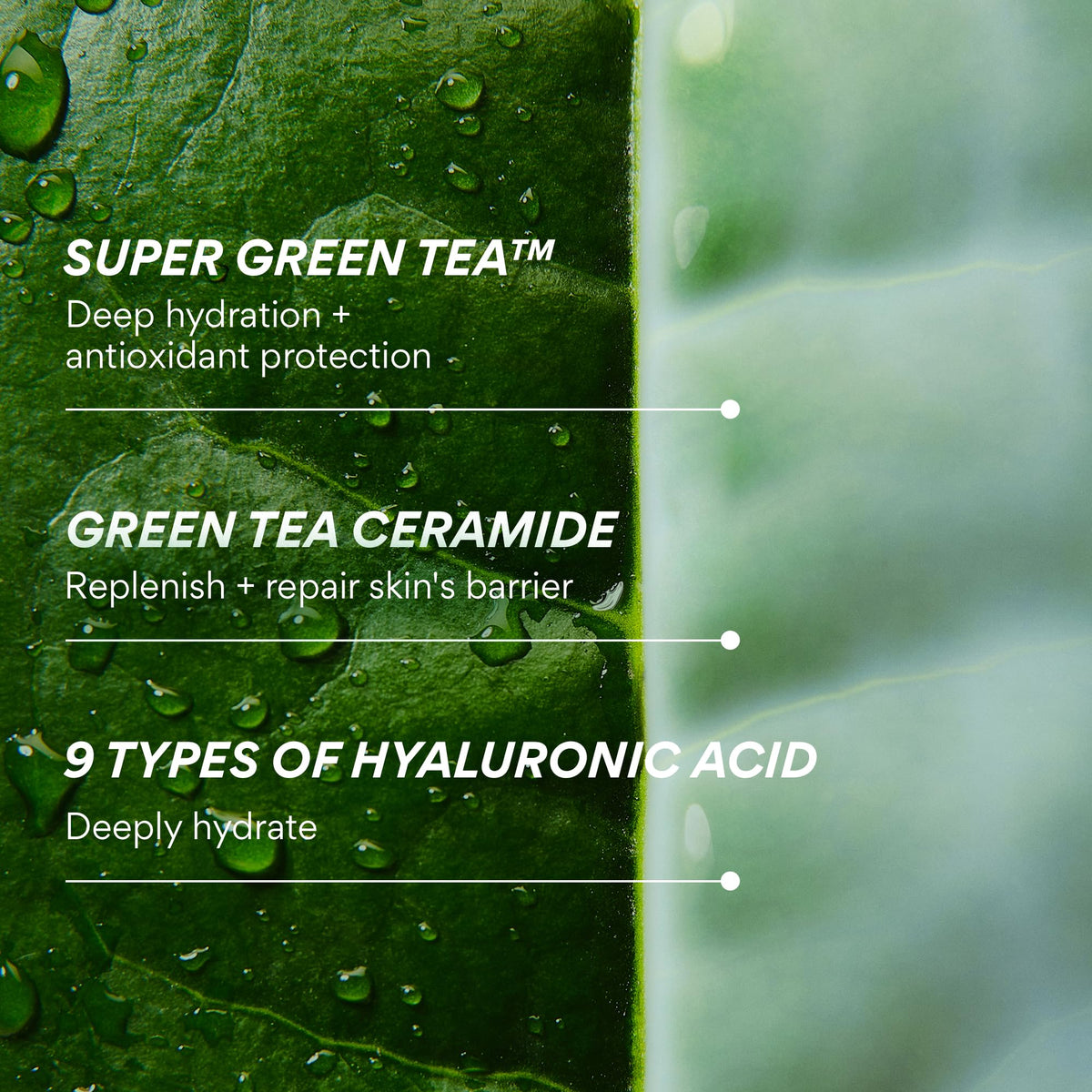 innisfree Green Tea Ceramide Milk Refill on a bathroom counter