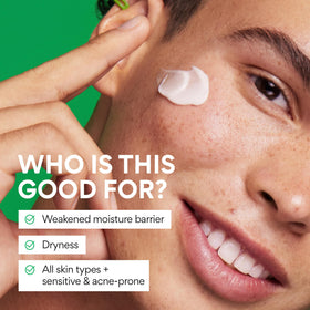 innisfree Green Tea Seed Hyaluronic Acid Cream with Green Tea leaves