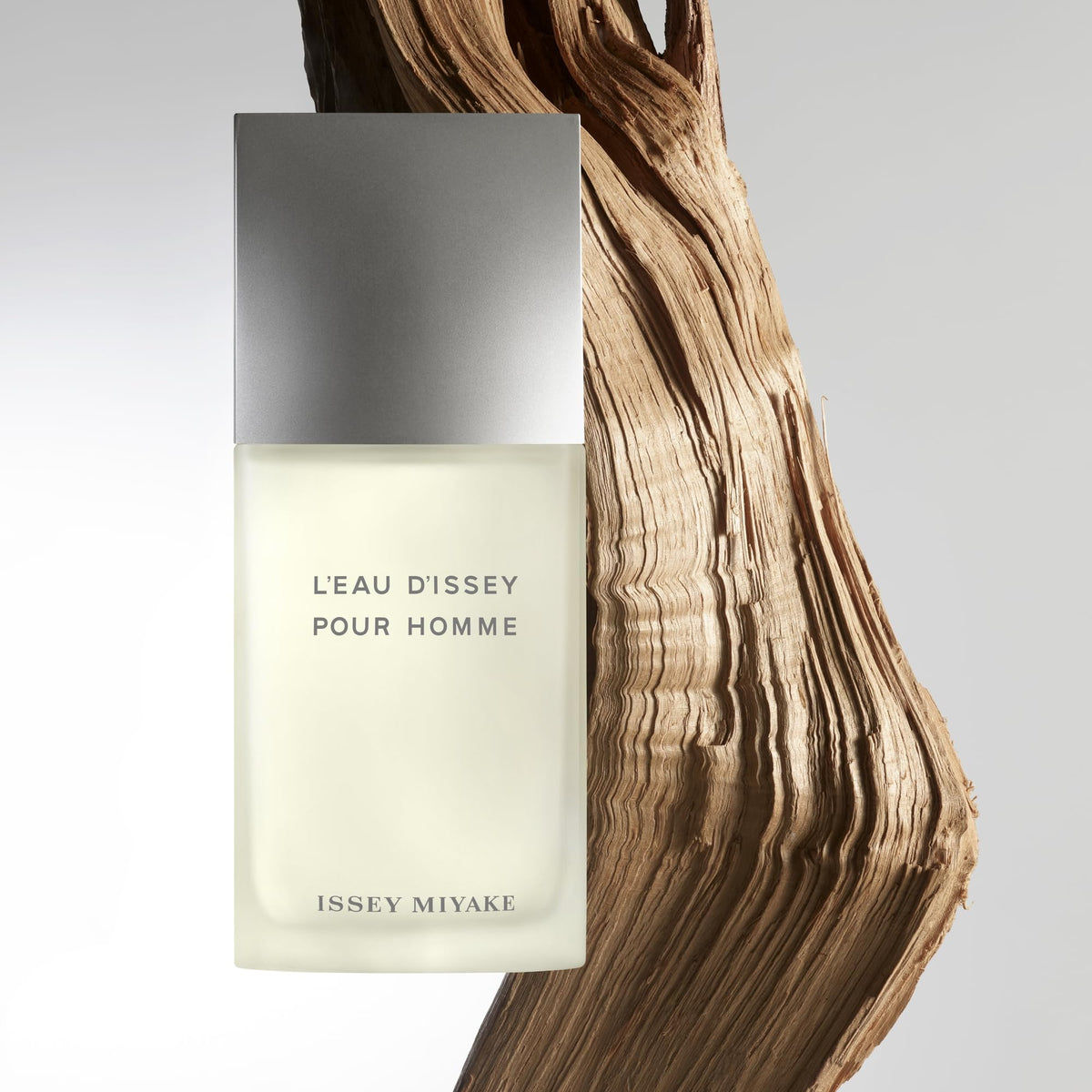 Issey Miyake L'Eau d'Issey Pour Homme scent notes description