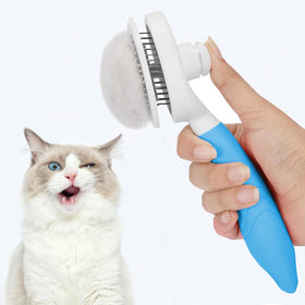 itPlus Self Cleaning Slicker Brush showing one-click cleaning button