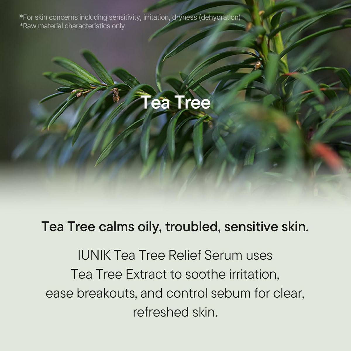 IUNIK Tea Tree Relief Serum cap open showing applicator