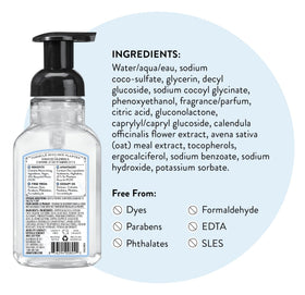 J.R. Watkins Moisturizing Foam Hand Soap with natural ingredients