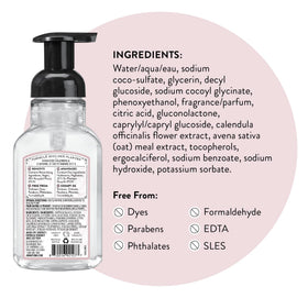 J.R. Watkins Moisturizing Foam Hand Soap with shea butter hand cream