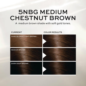 John Frieda Precision Foam Colour application process