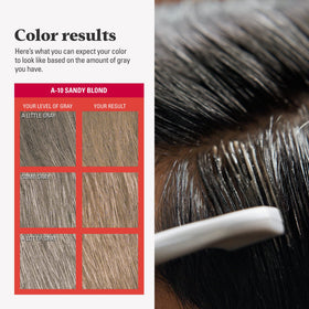 Just for Men Easy Comb-In Color Sandy Blond tube and comb