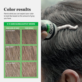 Just for Men Shampoo-In Color Dark Blond H-15 shade comparison