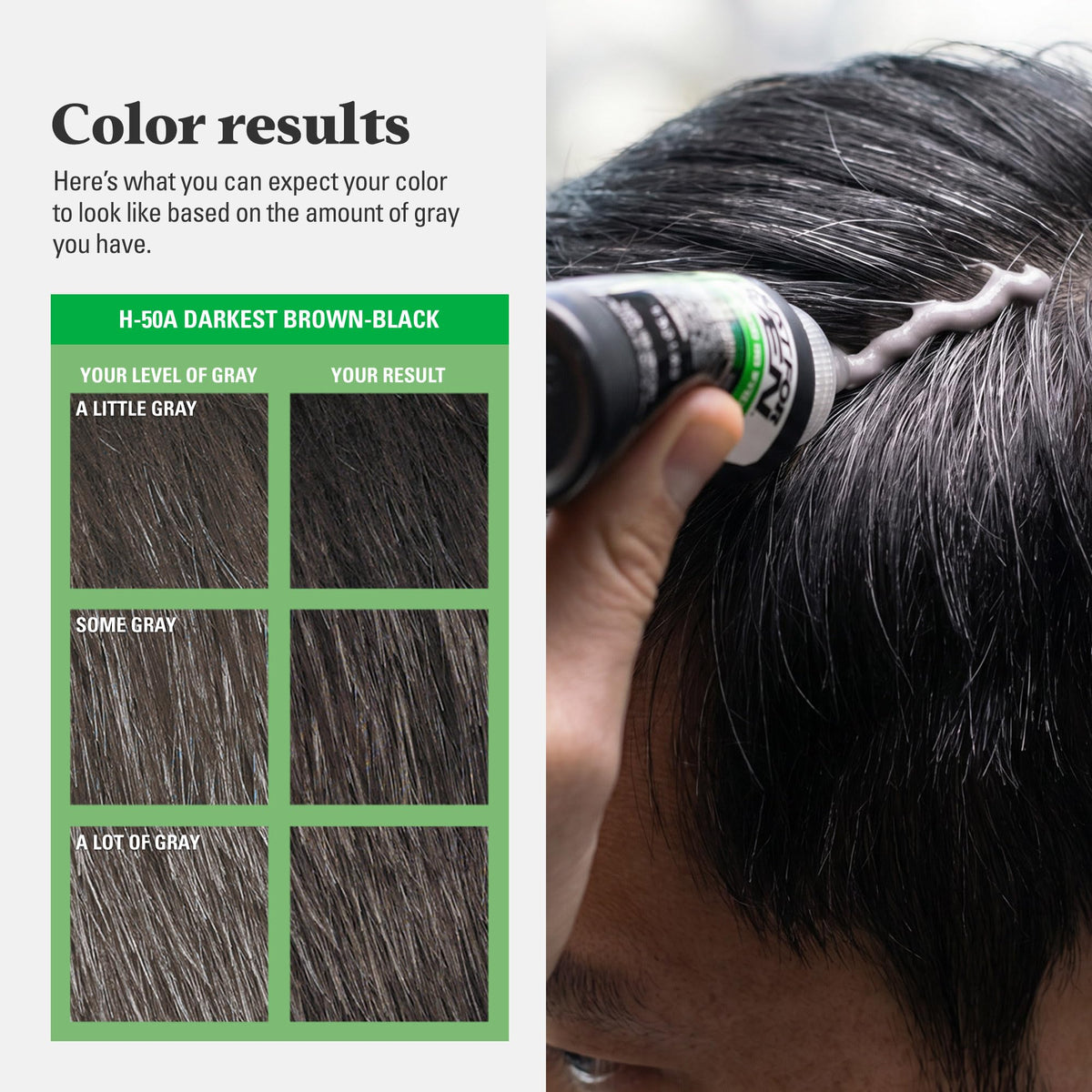 Just for Men Shampoo-In Color Real Black H-55 product details