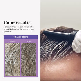 Just for Men Touch of Gray Light Brown T-25 product details