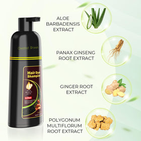 KAISASA Chestnut Brown Hair Dye Shampoo 3-in-1 texture close-up