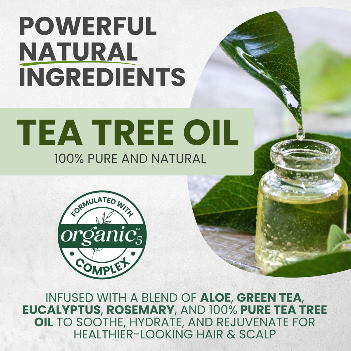 KESMEDIK Tea Tree Shampoo MaxTherapy with tea tree leaves